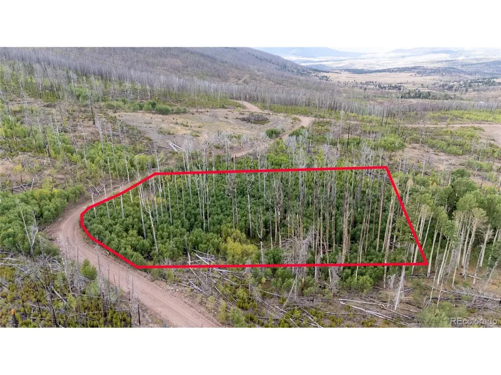 1947 Hilda Lane Fort Garland, CO 81133
