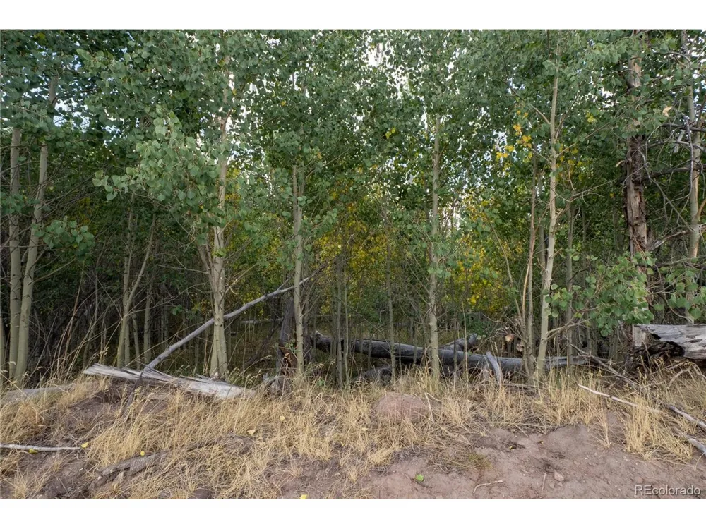 1947 Hilda Lane Fort Garland, CO 81133