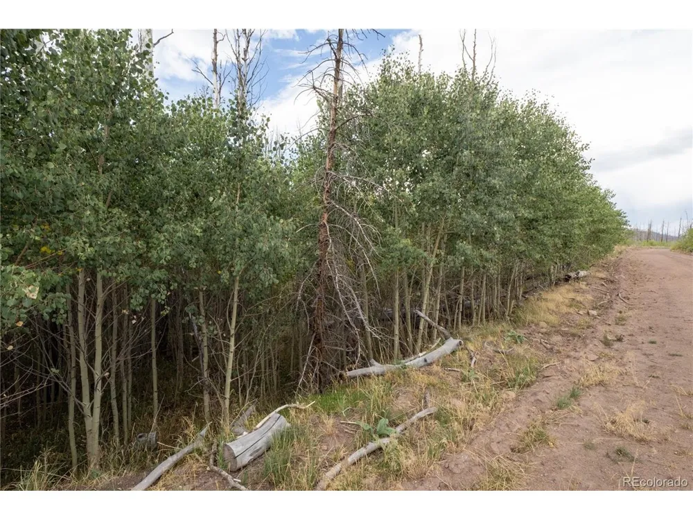 1947 Hilda Lane Fort Garland, CO 81133
