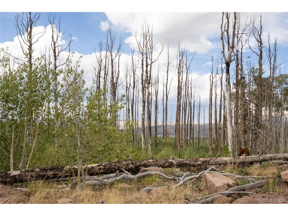 1947 Hilda Lane Fort Garland, CO 81133