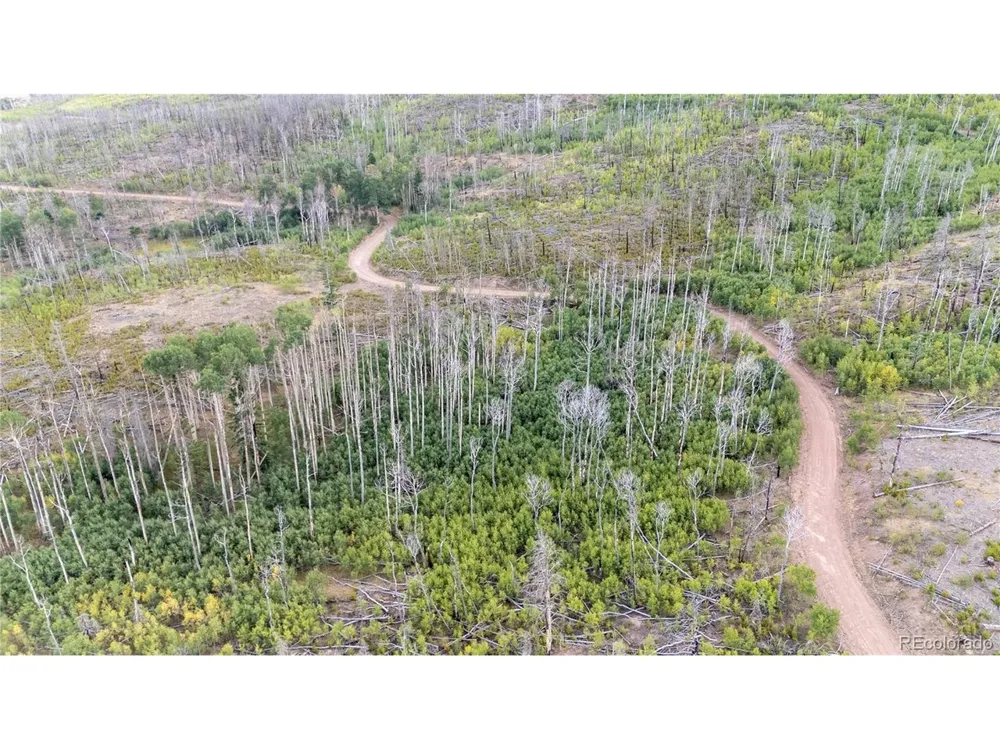 1947 Hilda Lane Fort Garland, CO 81133