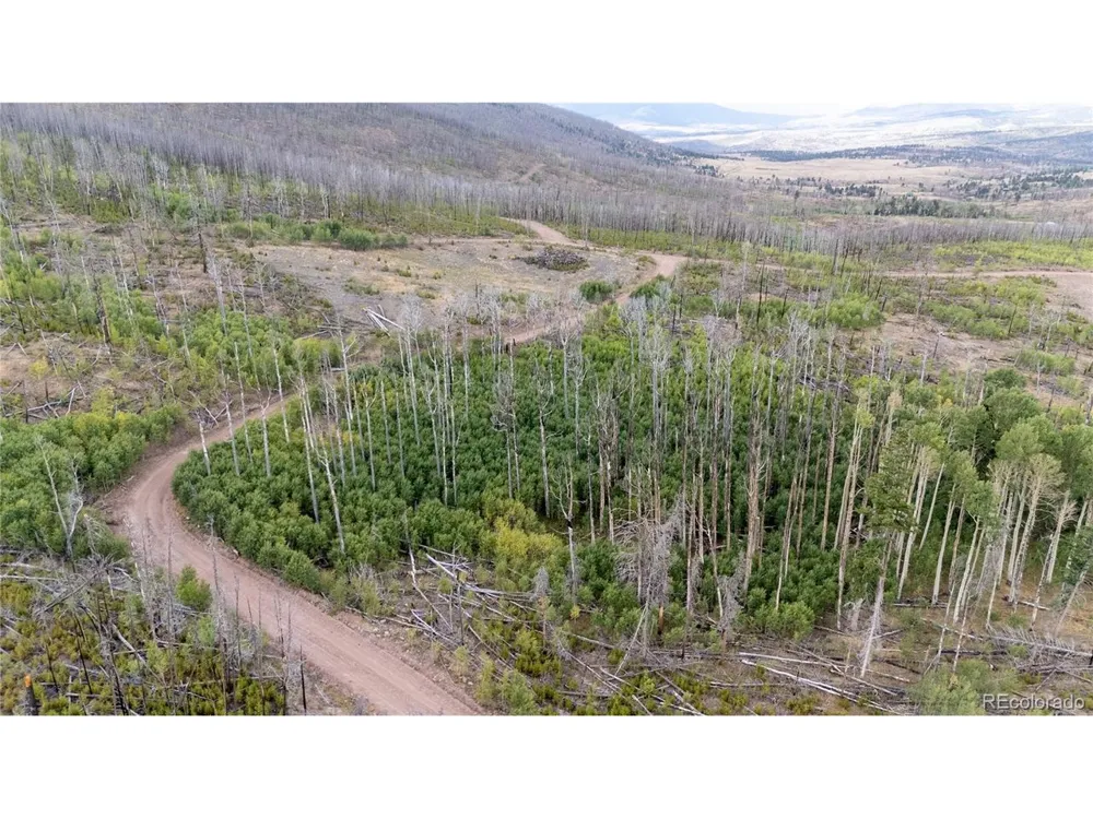 1947 Hilda Lane Fort Garland, CO 81133