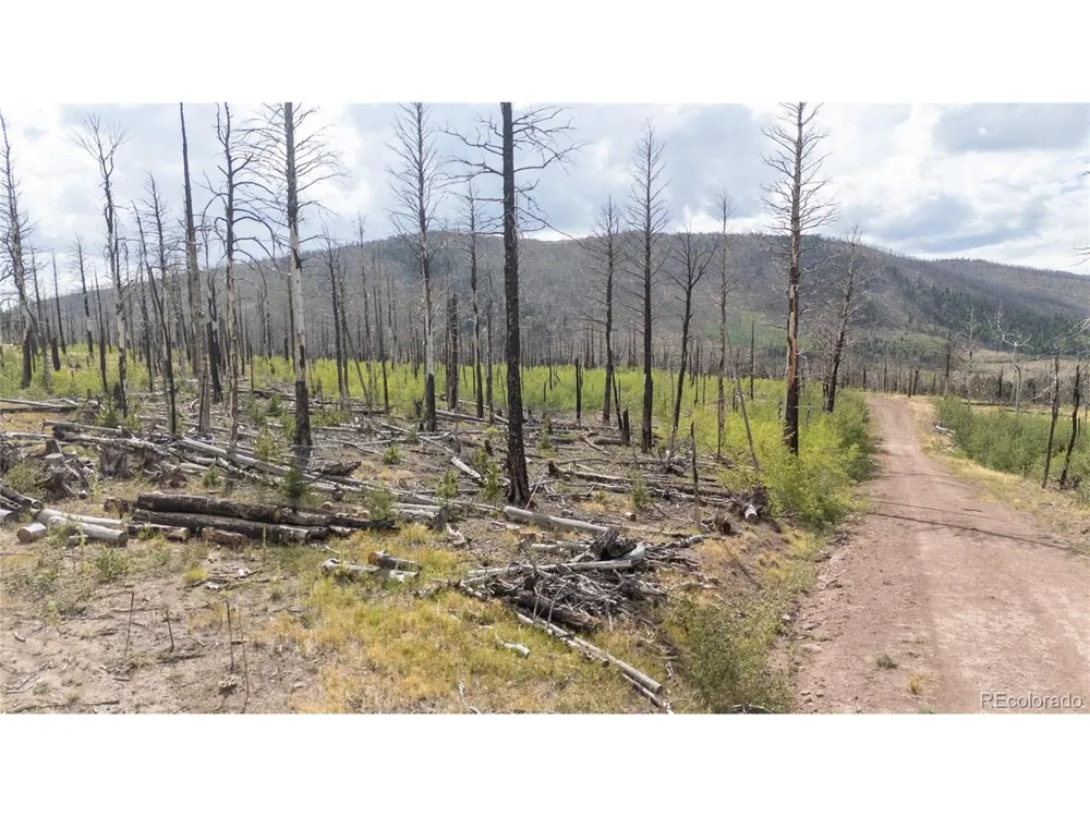 1947 Hilda Lane Fort Garland, CO 81133