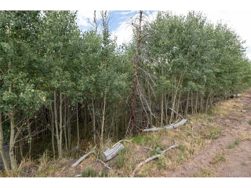 1947 Hilda Lane Fort Garland, CO 81133