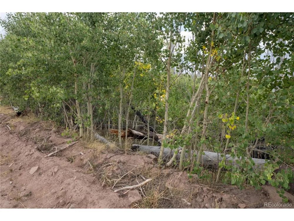 1947 Hilda Lane Fort Garland, CO 81133