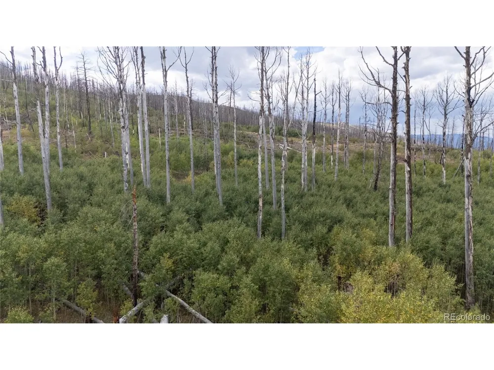 1947 Hilda Lane Fort Garland, CO 81133