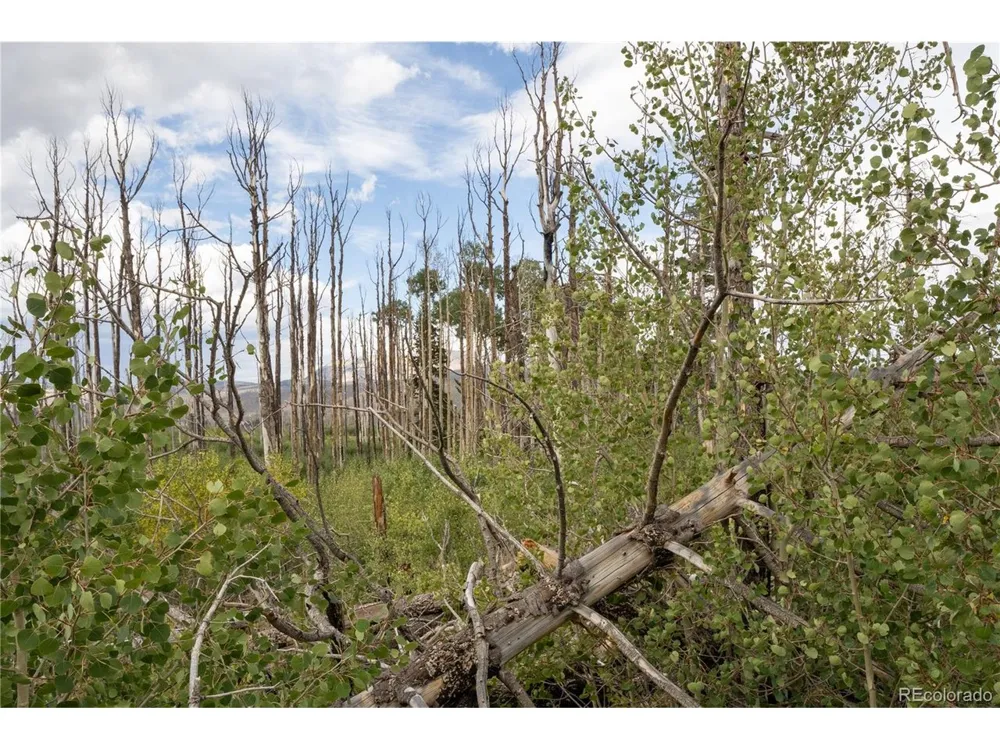1947 Hilda Lane Fort Garland, CO 81133