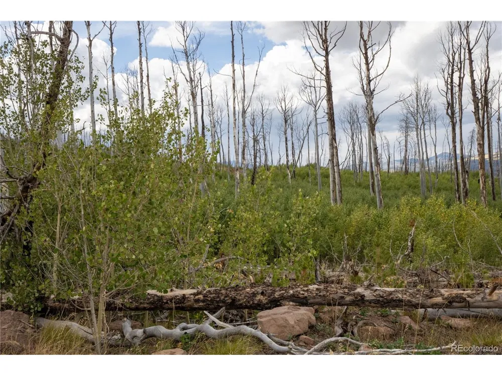 1947 Hilda Lane Fort Garland, CO 81133