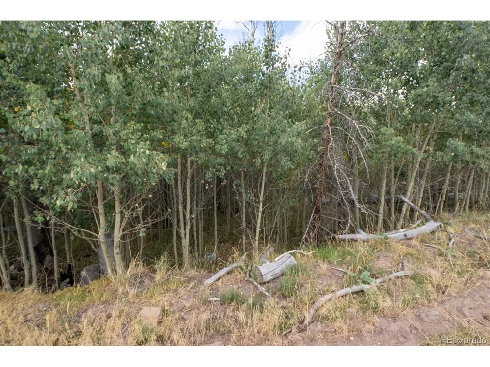 1947 Hilda Lane Fort Garland, CO 81133