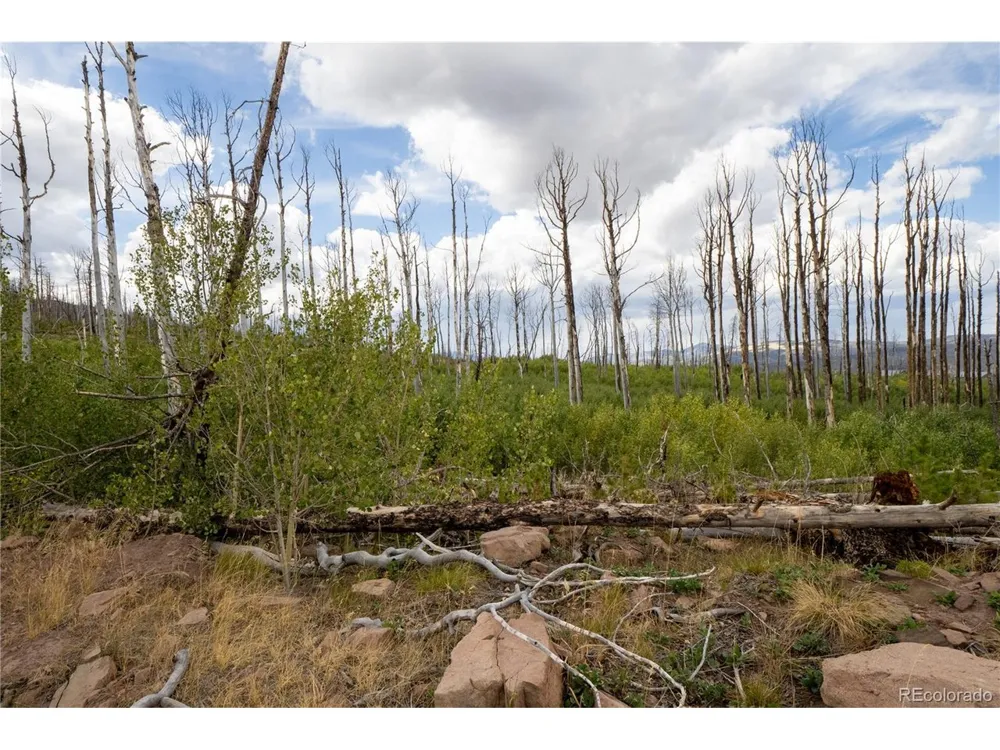 1947 Hilda Lane Fort Garland, CO 81133