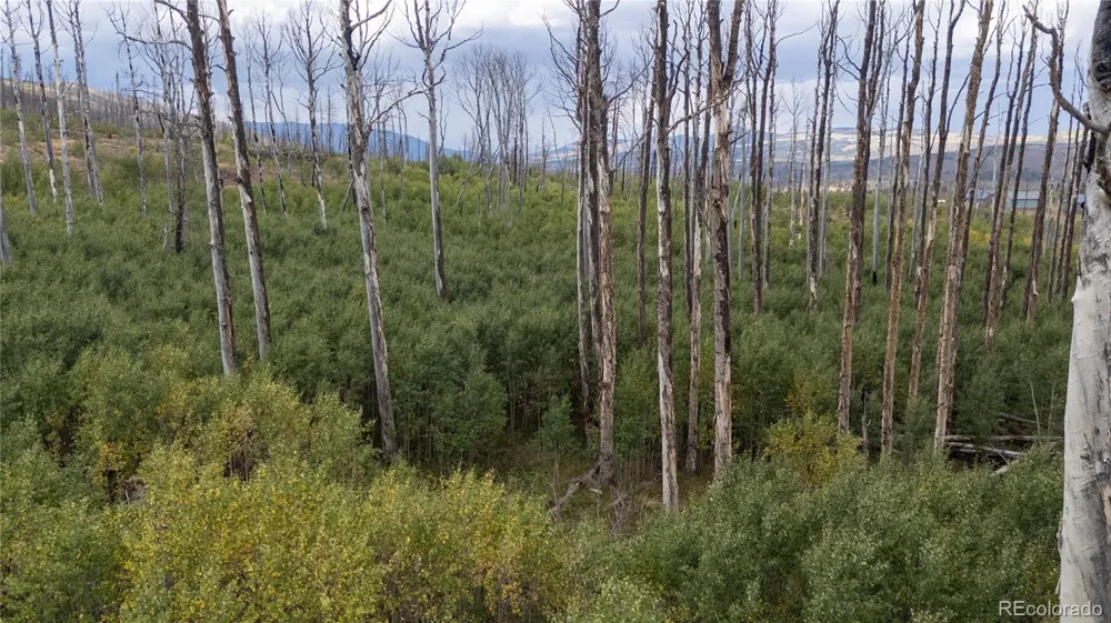 Lot 1947 Hilda Lane Fort Garland, CO 81133