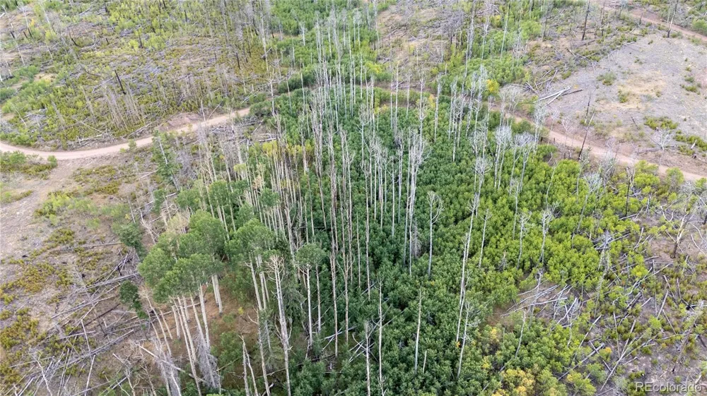 Lot 1947 Hilda Lane Fort Garland, CO 81133
