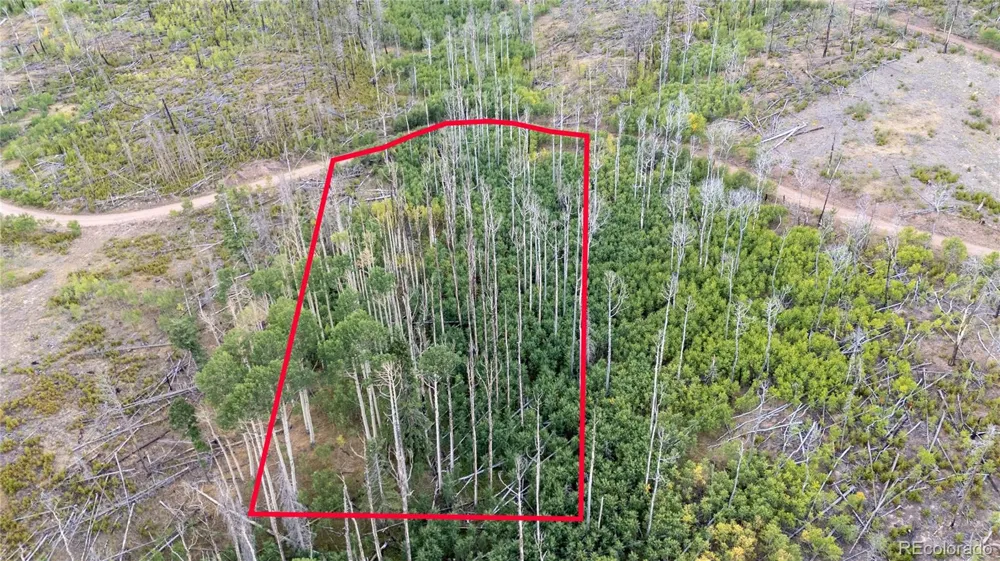 Lot 1947 Hilda Lane Fort Garland, CO 81133