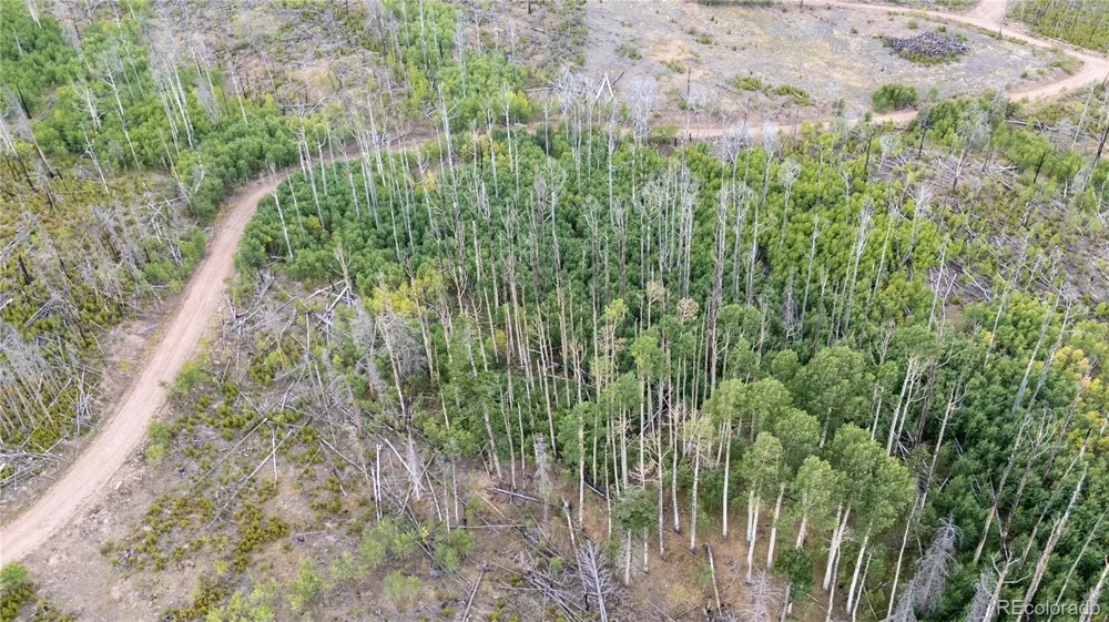 Lot 1947 Hilda Lane Fort Garland, CO 81133
