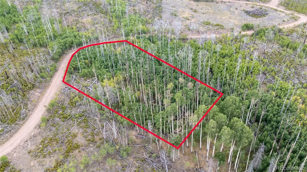 Lot 1947 Hilda Lane Fort Garland, CO 81133