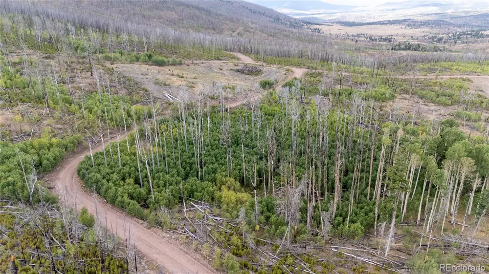 Lot 1947 Hilda Lane Fort Garland, CO 81133