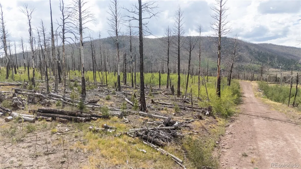 Lot 1947 Hilda Lane Fort Garland, CO 81133