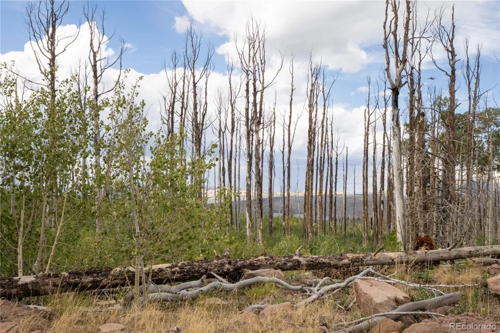 Lot 1947 Hilda Lane Fort Garland, CO 81133