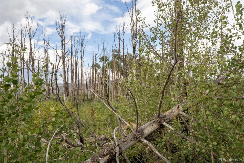 Lot 1947 Hilda Lane Fort Garland, CO 81133
