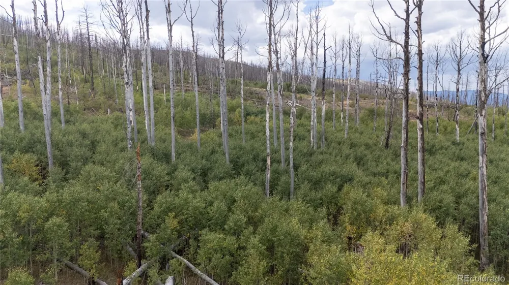 Lot 1947 Hilda Lane Fort Garland, CO 81133