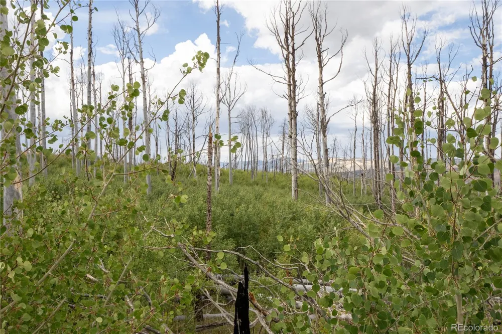 Lot 1947 Hilda Lane Fort Garland, CO 81133