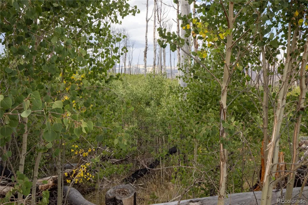 Lot 1947 Hilda Lane Fort Garland, CO 81133