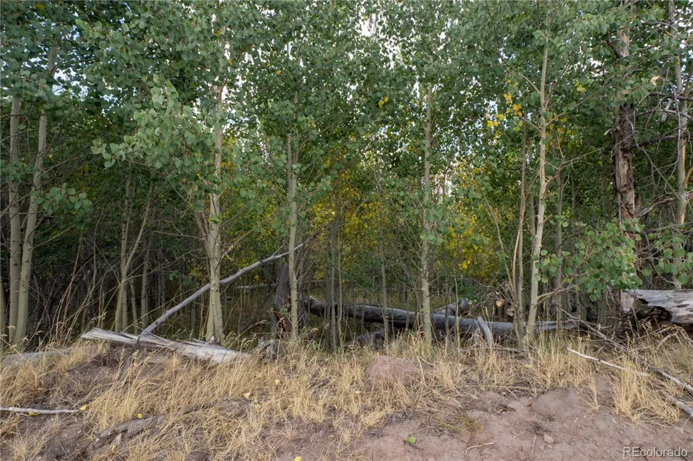 Lot 1947 Hilda Lane Fort Garland, CO 81133