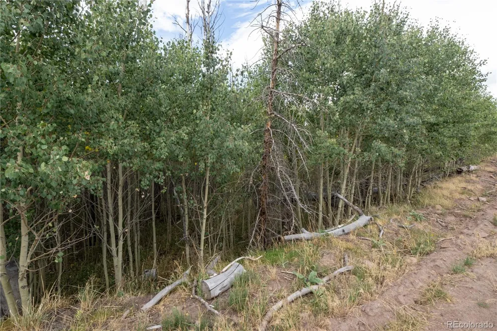 Lot 1947 Hilda Lane Fort Garland, CO 81133