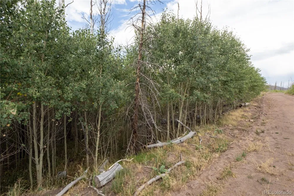 Lot 1947 Hilda Lane Fort Garland, CO 81133