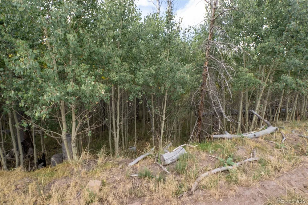 Lot 1947 Hilda Lane Fort Garland, CO 81133