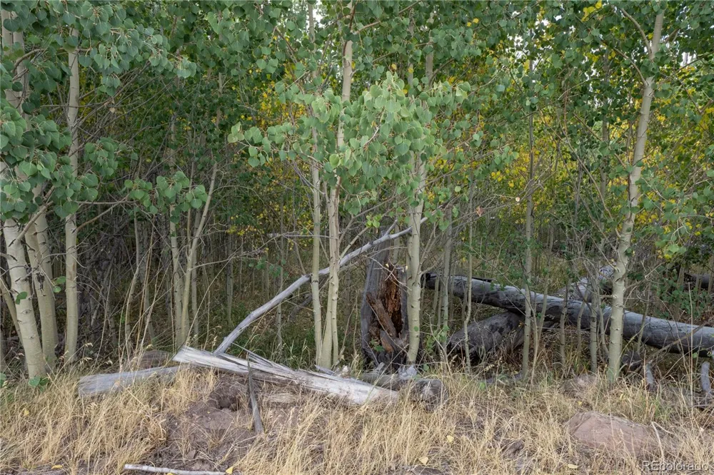Lot 1947 Hilda Lane Fort Garland, CO 81133