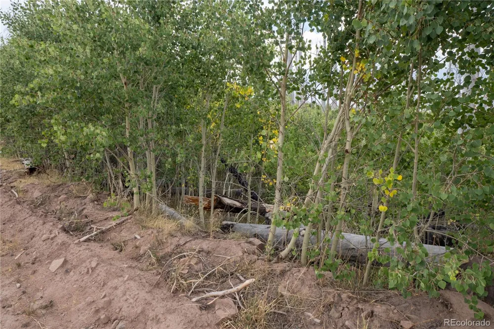 Lot 1947 Hilda Lane Fort Garland, CO 81133