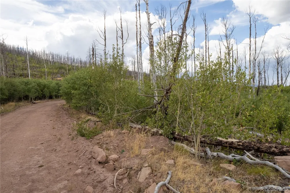 Lot 1947 Hilda Lane Fort Garland, CO 81133
