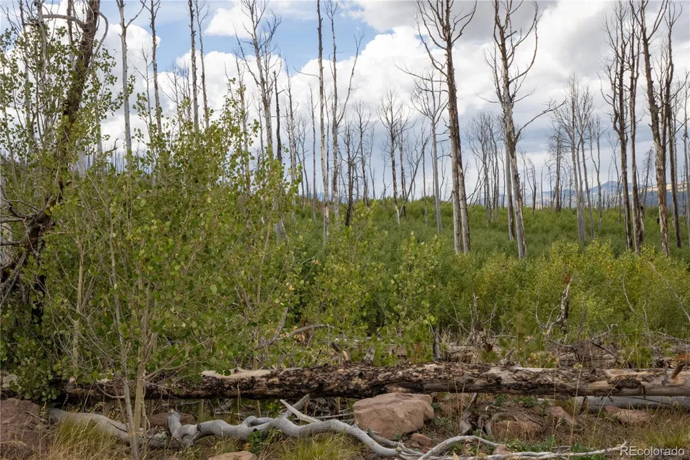 Lot 1947 Hilda Lane Fort Garland, CO 81133