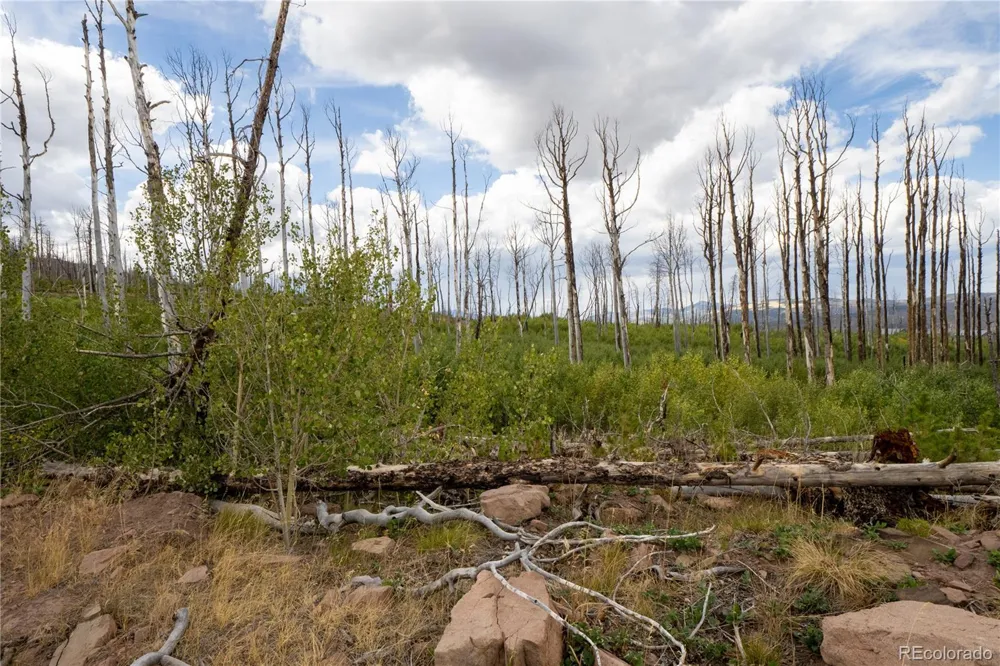 Lot 1947 Hilda Lane Fort Garland, CO 81133