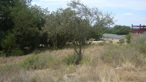 4094 Outpost Trace