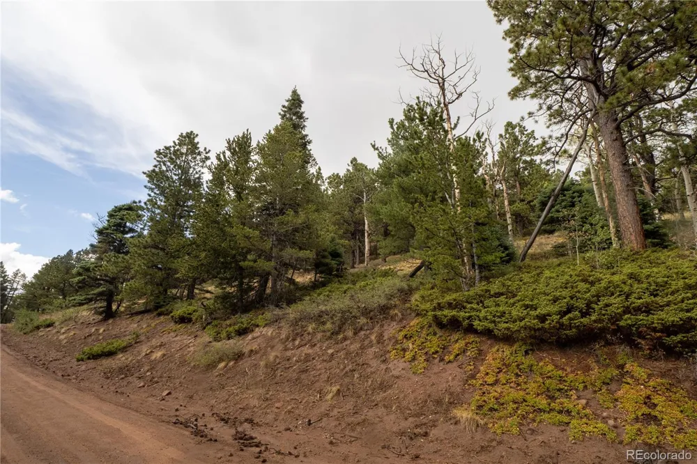 Lot 2797 Moir Drive Fort Garland, CO 81133