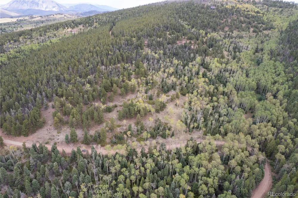 Lot 2797 Moir Drive Fort Garland, CO 81133