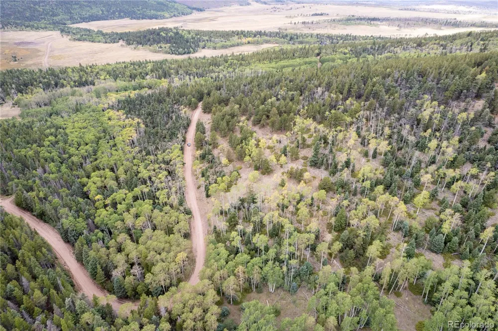 Lot 2797 Moir Drive Fort Garland, CO 81133