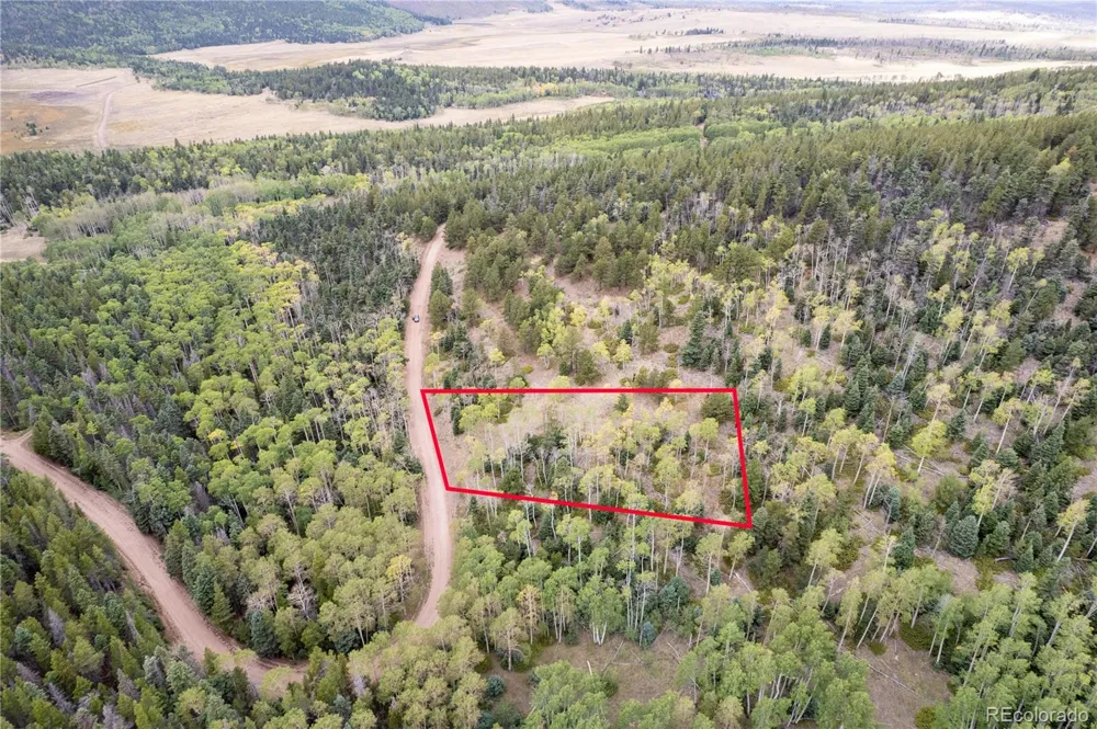 Lot 2797 Moir Drive Fort Garland, CO 81133