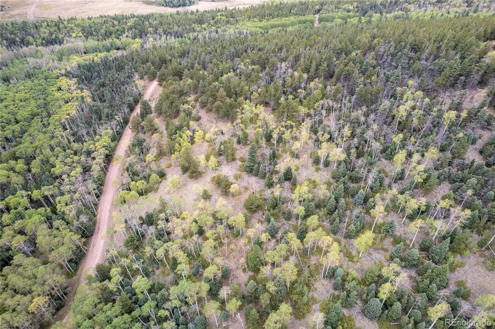 Lot 2797 Moir Drive Fort Garland, CO 81133