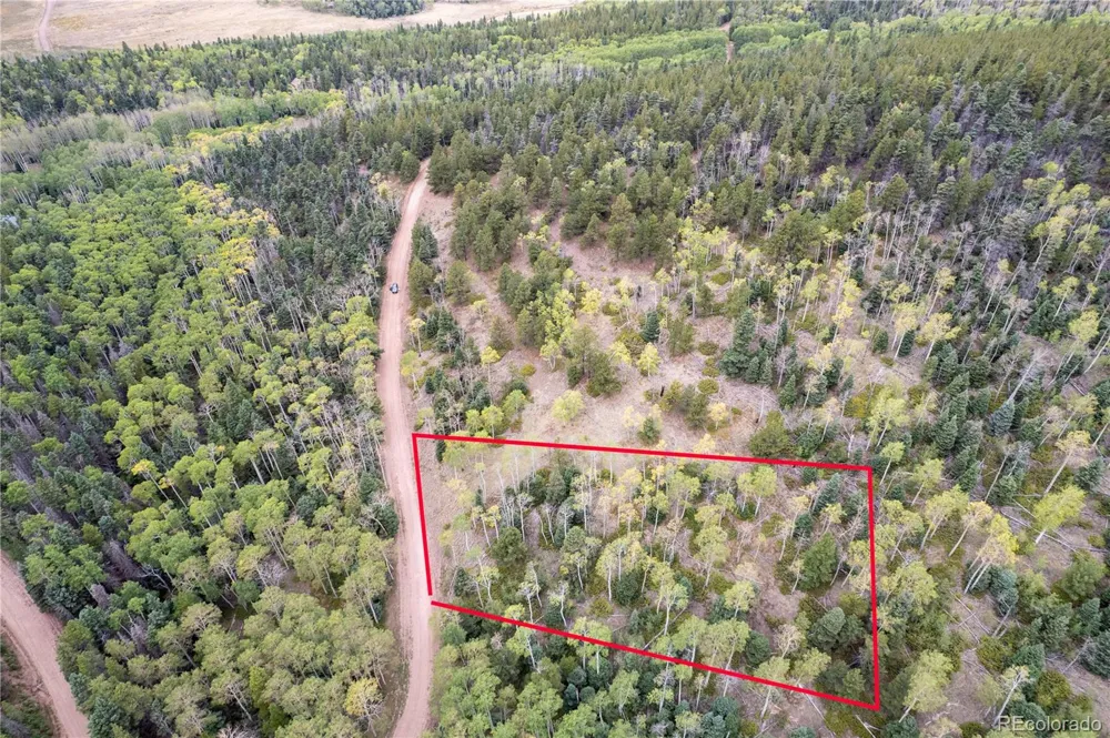 Lot 2797 Moir Drive Fort Garland, CO 81133