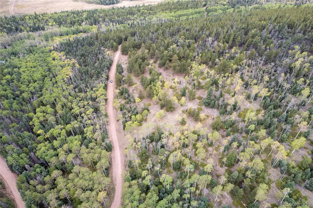 Lot 2797 Moir Drive Fort Garland, CO 81133