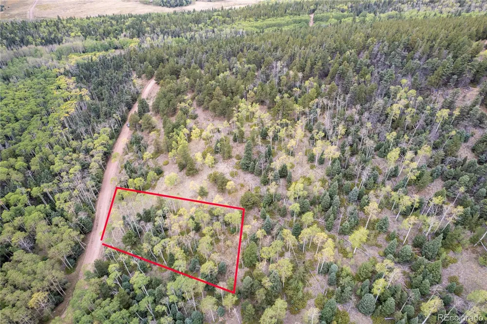 Lot 2797 Moir Drive Fort Garland, CO 81133