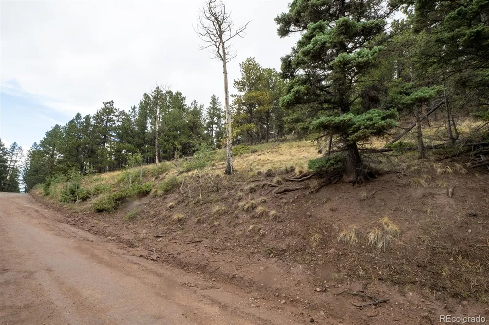 Lot 2797 Moir Drive Fort Garland, CO 81133