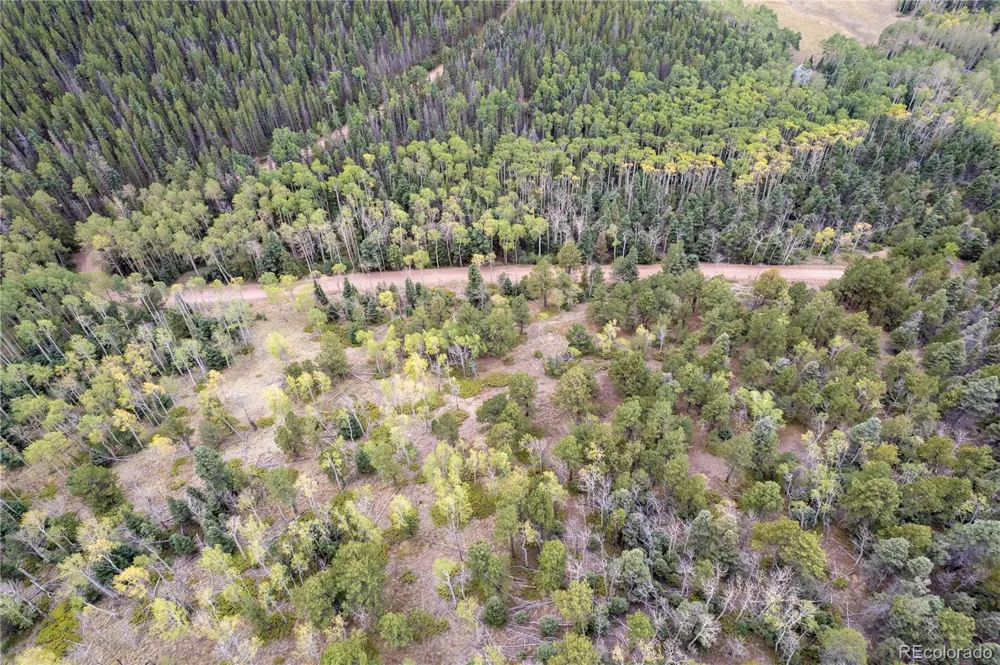 Lot 2797 Moir Drive Fort Garland, CO 81133