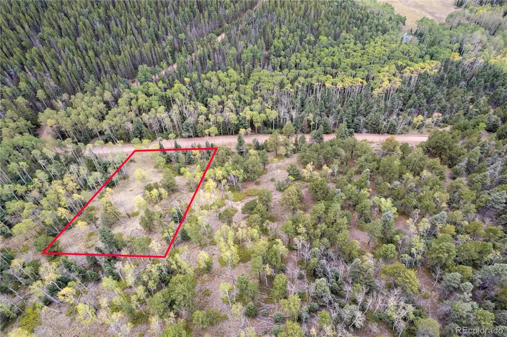 Lot 2797 Moir Drive Fort Garland, CO 81133