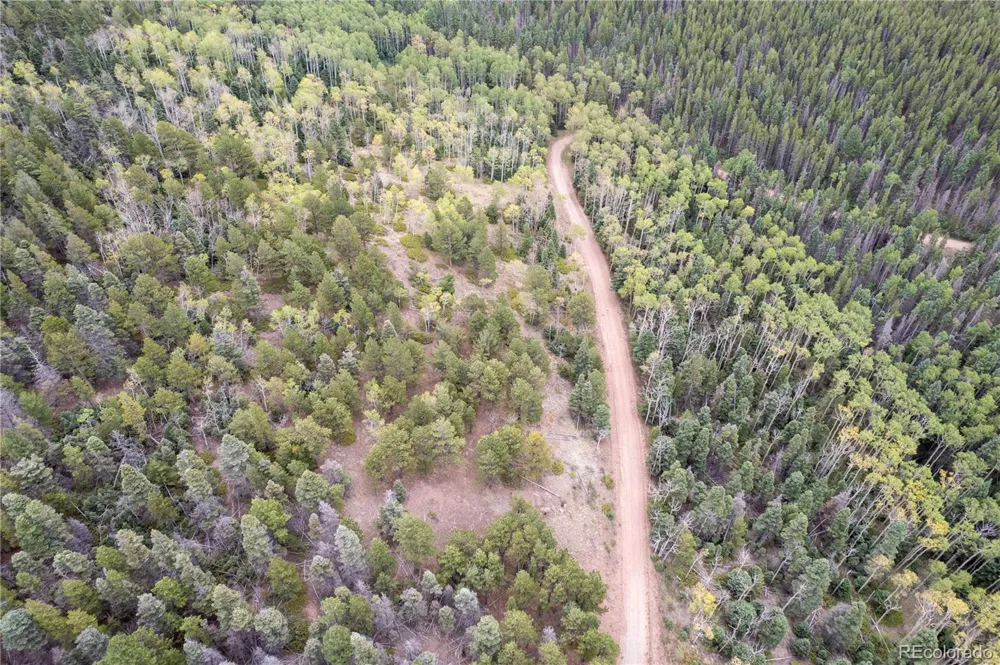 Lot 2797 Moir Drive Fort Garland, CO 81133