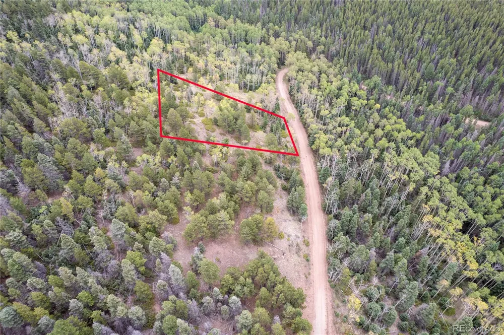 Lot 2797 Moir Drive Fort Garland, CO 81133