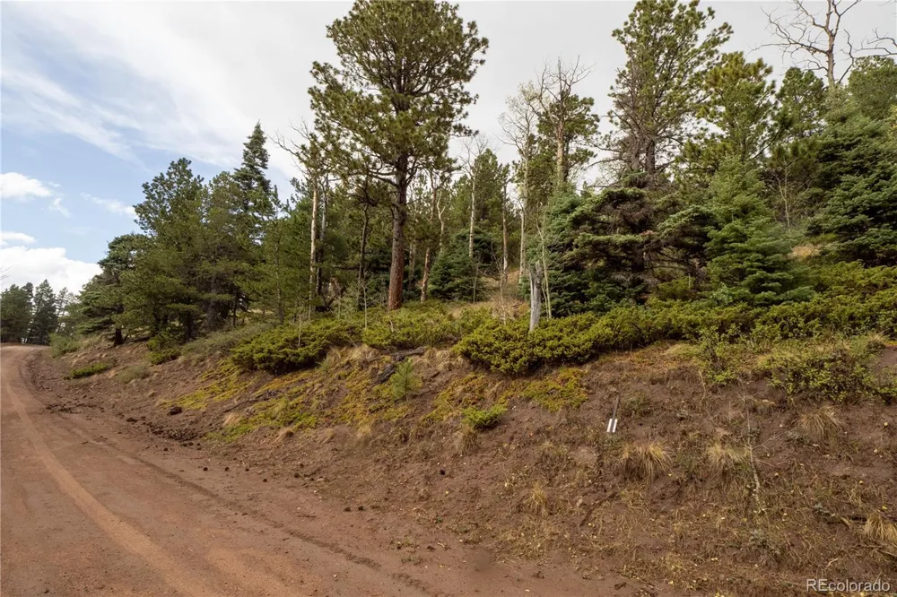 Lot 2797 Moir Drive Fort Garland, CO 81133